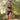 Life Sports Gear Typhoon_2