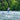 CORAL TOURING NIGHT FADE 11’6″