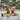 TOMAHAWK AIR-K 14’5″