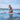 CORAL 10’2″ Night Fade